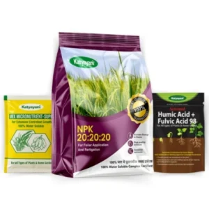 Katyayani NPK 20:20:20 Fertilizer