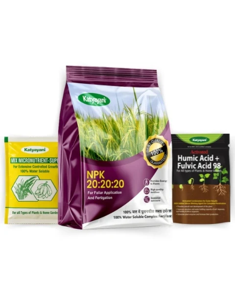 Katyayani NPK 20:20:20 Fertilizer