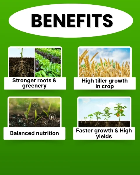 Katyayani NPK 19:19:19 Water Soluble Fertilizer – Balanced Nutrition for Fast Crop Growth - Image 4