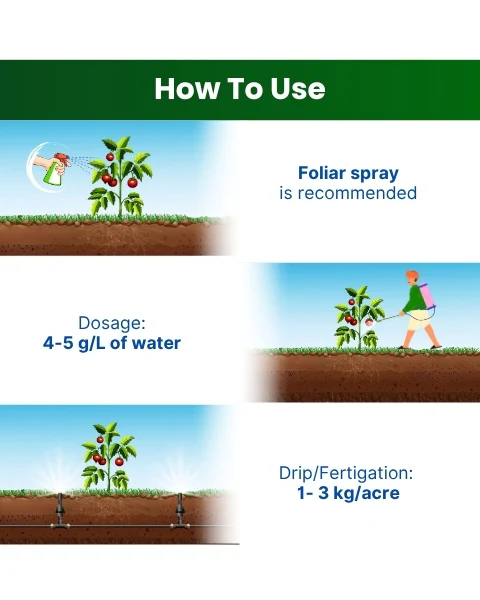 Katyayani NPK 19:19:19 Water Soluble Fertilizer – Balanced Nutrition for Fast Crop Growth - Image 2