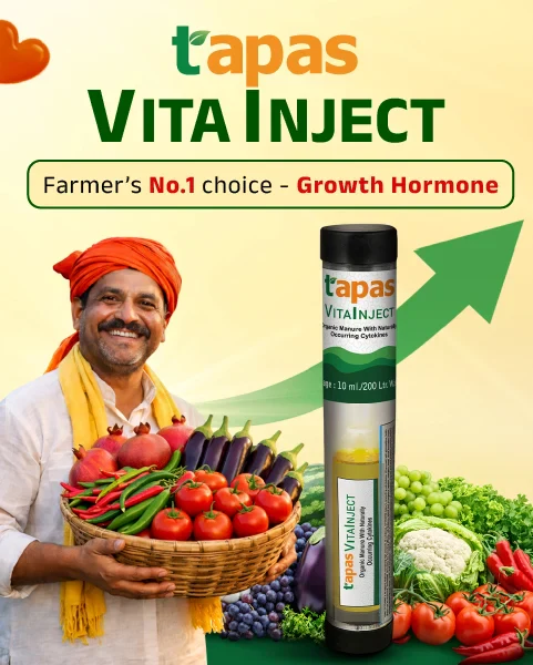 TAPAS Vita Inject Plant Growth Regulator - Fruit & Flowering Booster for All Crops (IPM Suitable) - Image 9
