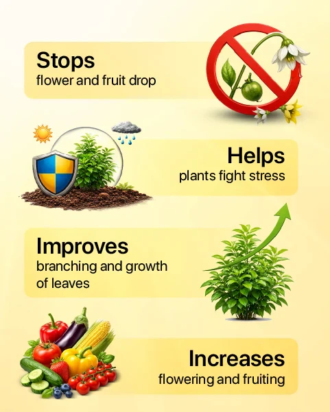 TAPAS Vita Inject Plant Growth Regulator - Fruit & Flowering Booster for All Crops (IPM Suitable) - Image 8