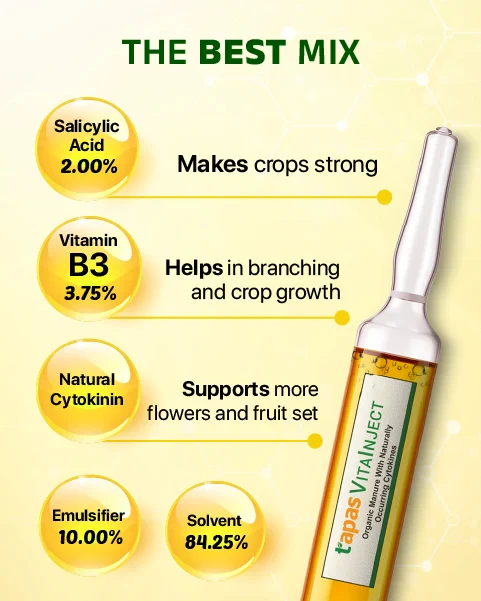 TAPAS Vita Inject Plant Growth Regulator - Fruit & Flowering Booster for All Crops (IPM Suitable) - Image 7