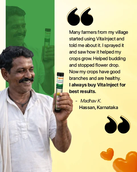 TAPAS Vita Inject Plant Growth Regulator - Fruit & Flowering Booster for All Crops (IPM Suitable) - Image 6