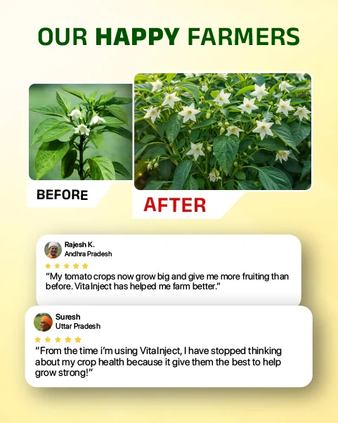 TAPAS Vita Inject Plant Growth Regulator - Fruit & Flowering Booster for All Crops (IPM Suitable) - Image 5