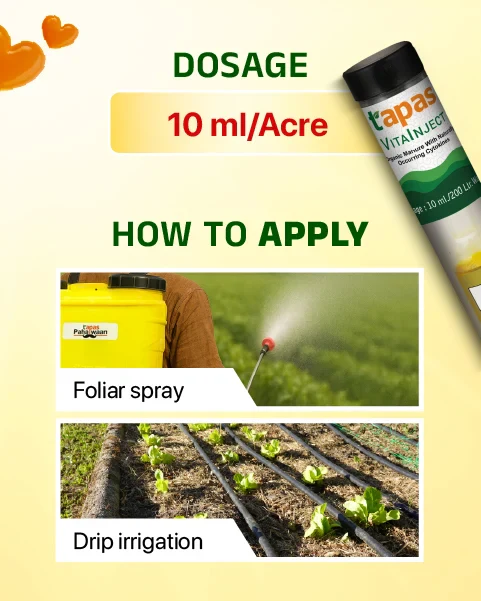TAPAS Vita Inject Plant Growth Regulator - Fruit & Flowering Booster for All Crops (IPM Suitable) - Image 3