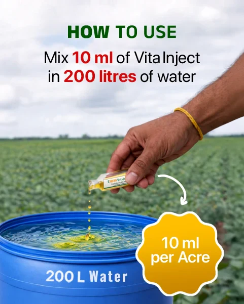 TAPAS Vita Inject Plant Growth Regulator - Fruit & Flowering Booster for All Crops (IPM Suitable) - Image 2