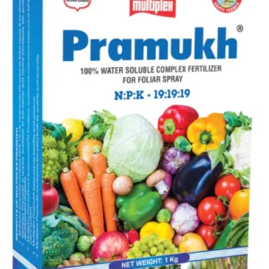 Multiplex Pramukh 19:19:19 – Water Soluble NPK Fertilizer for All Crops