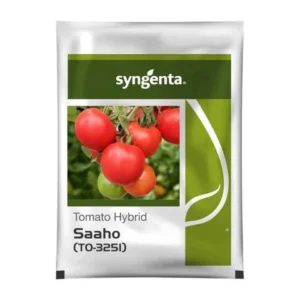 Saaho Tomato Seeds [TO-3251] | Plant a Heat-Tolerant  Hybrid That Delivers Consistent High Yields.